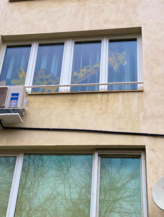 Spacious Apartment Next To South Park Просторен Апартамент До Южен Парк Top Location Sofya Dış mekan fotoğraf